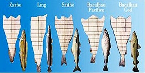 Tipos de Bacalhau