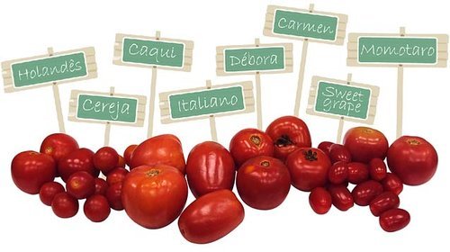 Tipos de Tomates e Suas Características